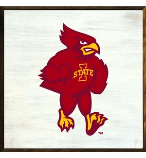 Bold Mascot Iowa State University